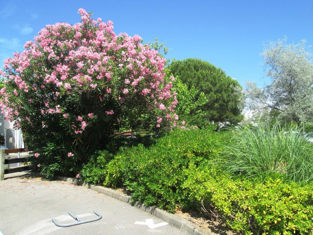 לה גרנד מוט Vittoria Immobilier 12 -Reglement Sur Place - Cheques Vacances Acceptes מראה חיצוני תמונה