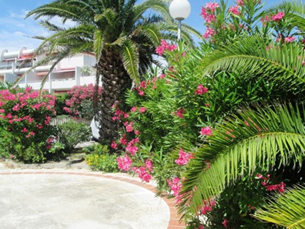 לה גרנד מוט Vittoria Immobilier 12 -Reglement Sur Place - Cheques Vacances Acceptes מראה חיצוני תמונה