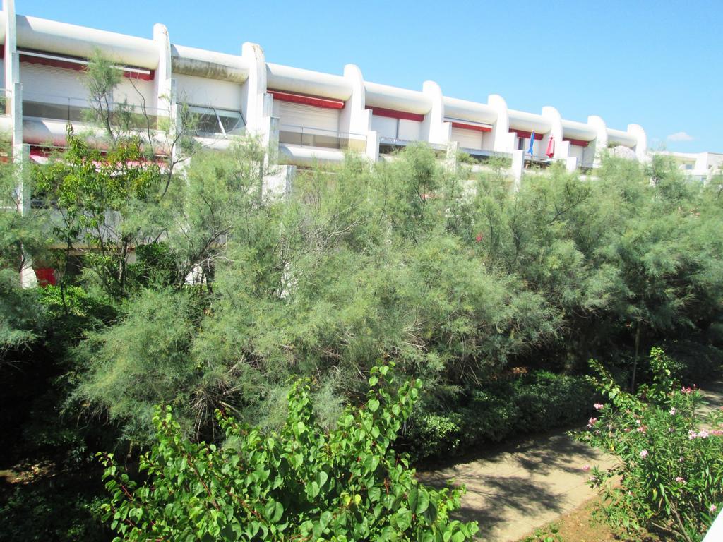 לה גרנד מוט Vittoria Immobilier 12 -Reglement Sur Place - Cheques Vacances Acceptes מראה חיצוני תמונה